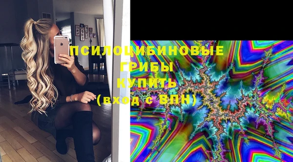 apvp Струнино