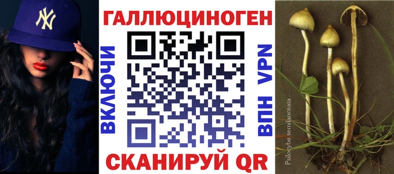Купить закладки  Сочи  Псилоцибиновые грибы мицелий 
