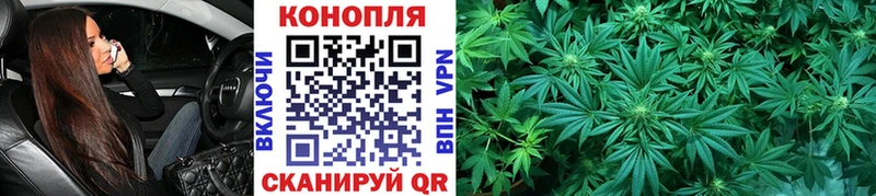 Бошки Шишки планчик  Купить закладки  Сочи 